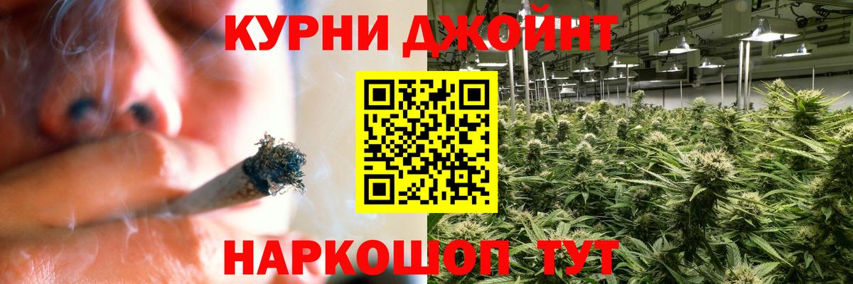 Узловая  Конопля сатива  Конопля Amnesia  Шишки марихуана планчик  Вход с VPN 